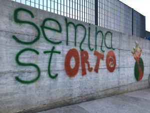 Semina STorto